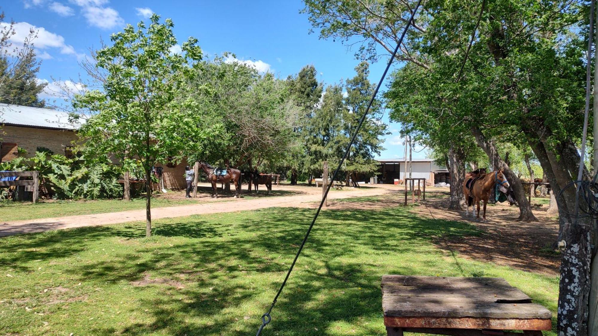 Cabana Rural El Encuentro San Antonio de Areco Camera foto