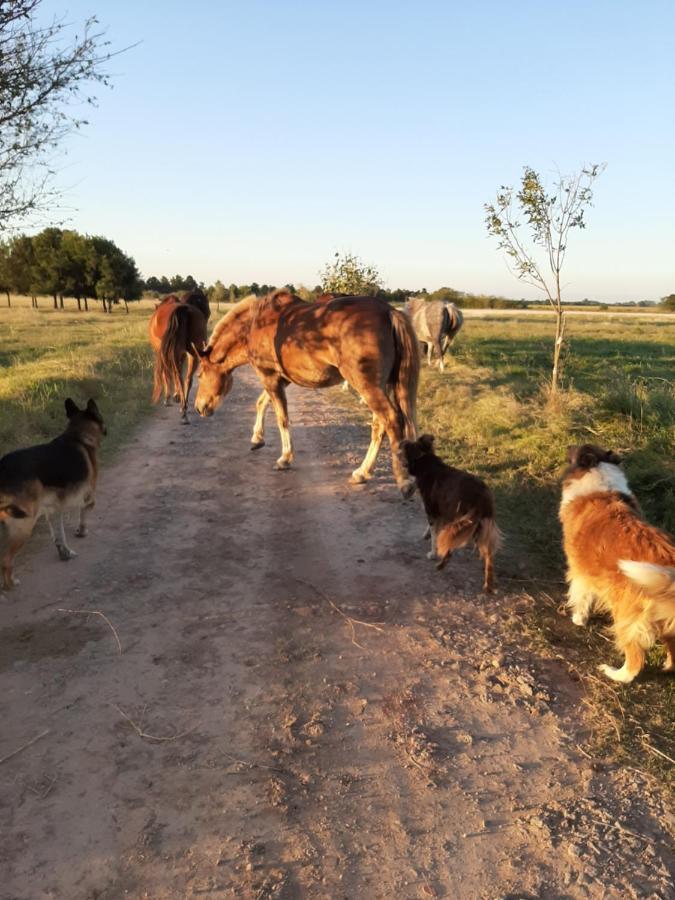 Cabana Rural El Encuentro San Antonio de Areco Esterno foto